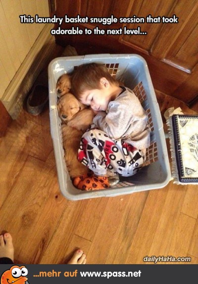 Kind und Hunde schmusen