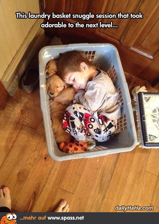 Kind und Hunde schmusen
