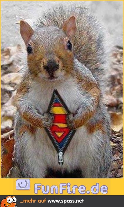 Superhörchen