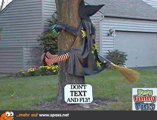 Text Flying