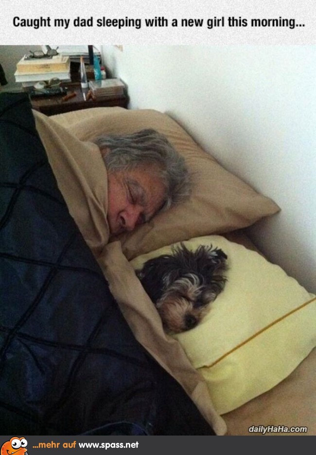 Alter Mann und Hund Bett