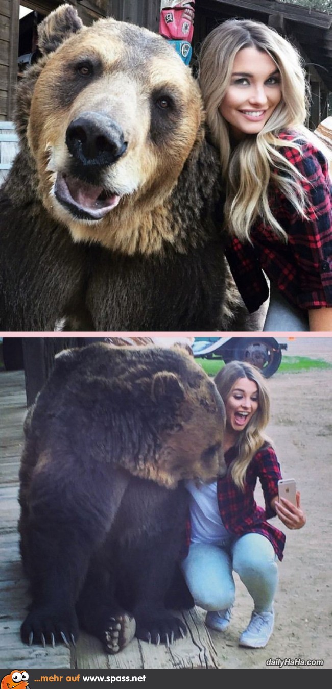Bär Blondine