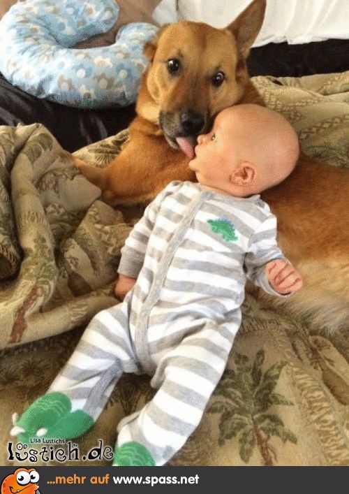 Baby Hund Kuss