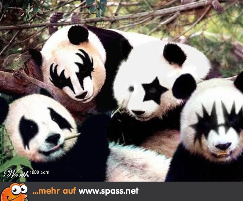 Kiss Pandas