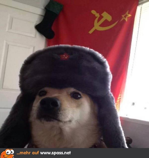 Russenhund