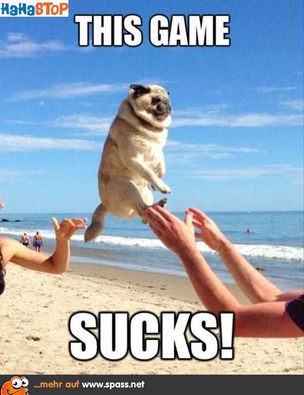 Mops fliegt
