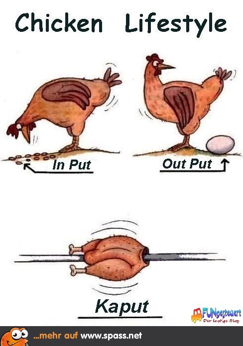 Chicken Lifestyle