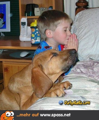Kind Hund beten