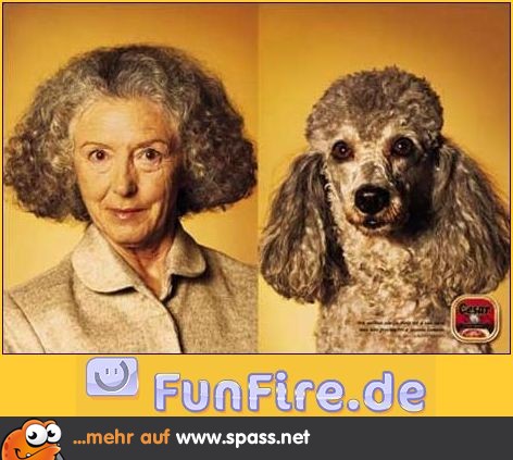 Hund und Frauchen