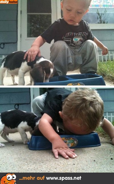 Hund kleiner Junge