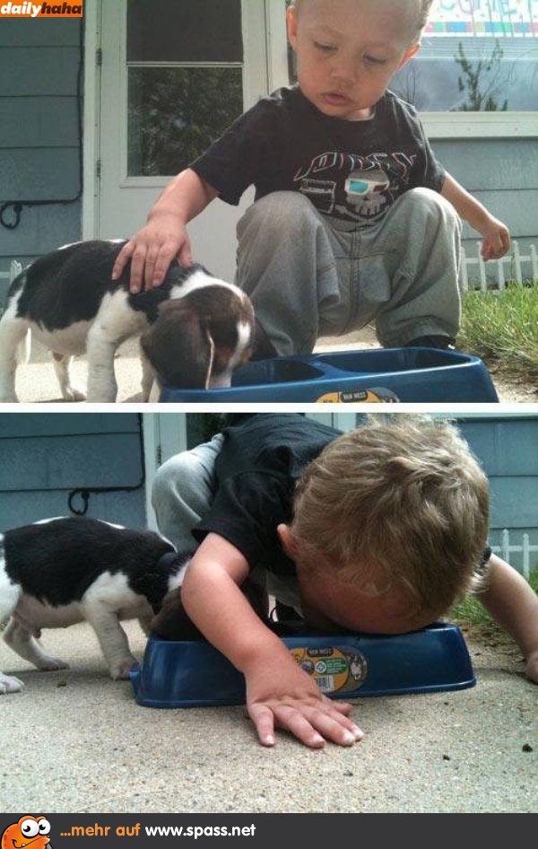 Hund kleiner Junge