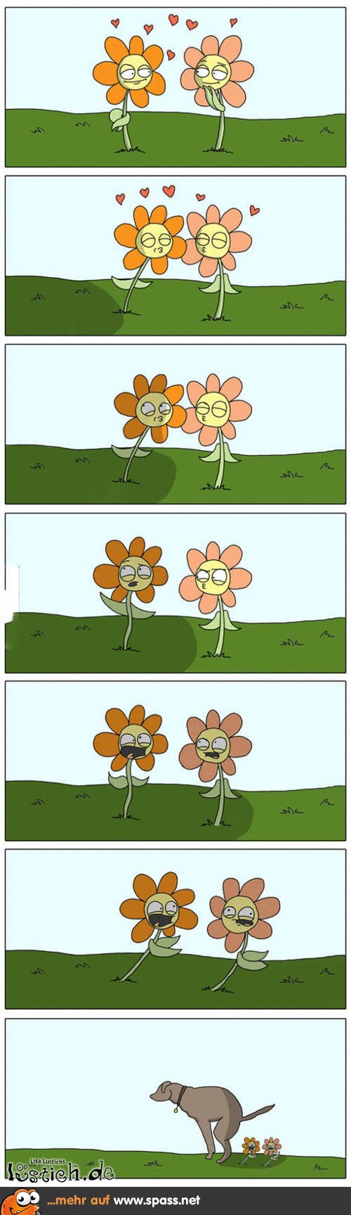 Blumenliebe Hundehaufen