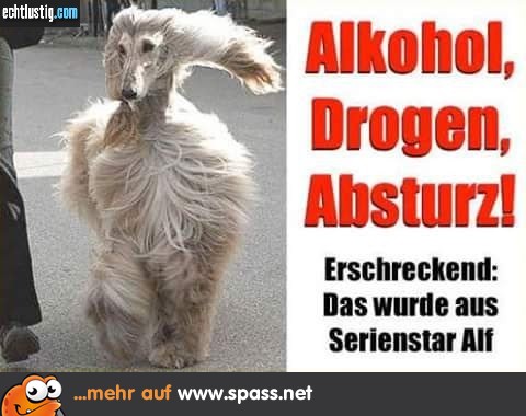 ALF heruntergekommen