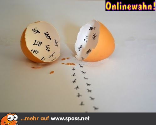 Eierschale Gefängnis