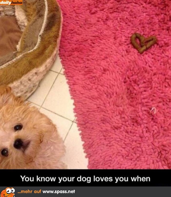 Hundekot Herz