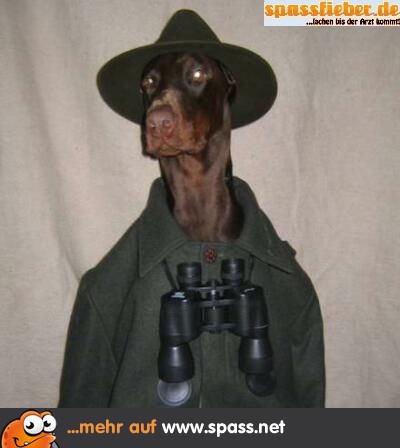 Hund als Jäger