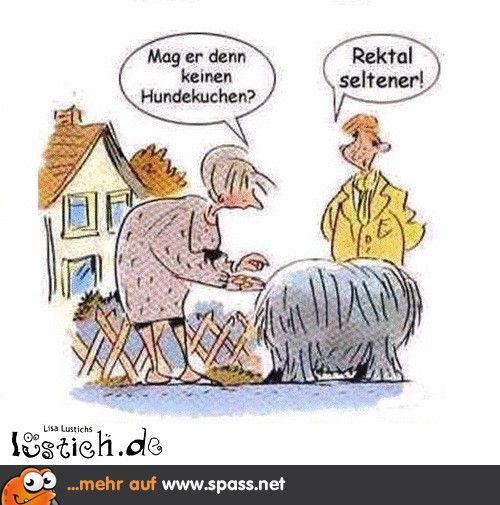 Hund füttern