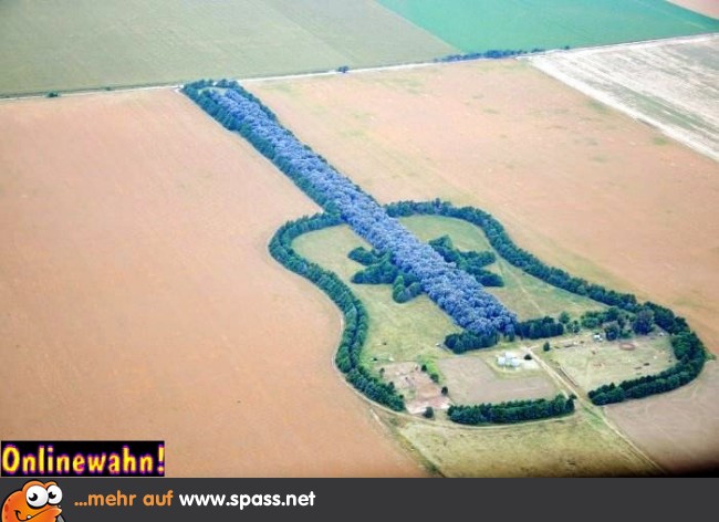 Feld Gitarre