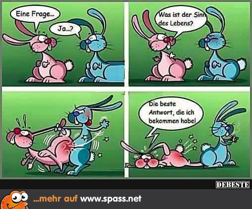 Comic Hasen rammeln