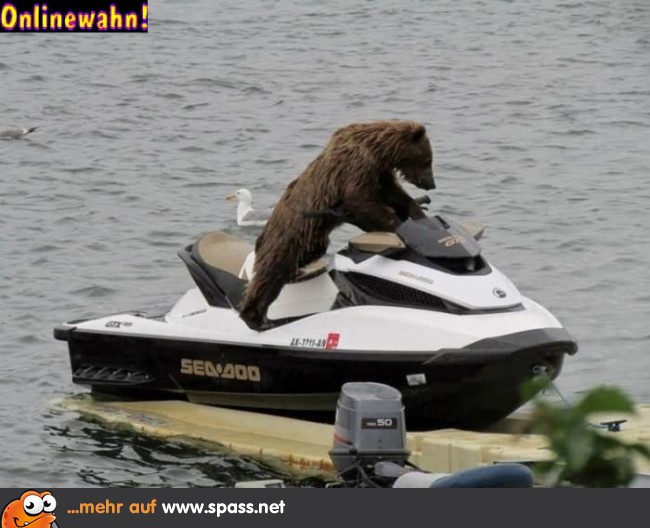 Jetski Bär