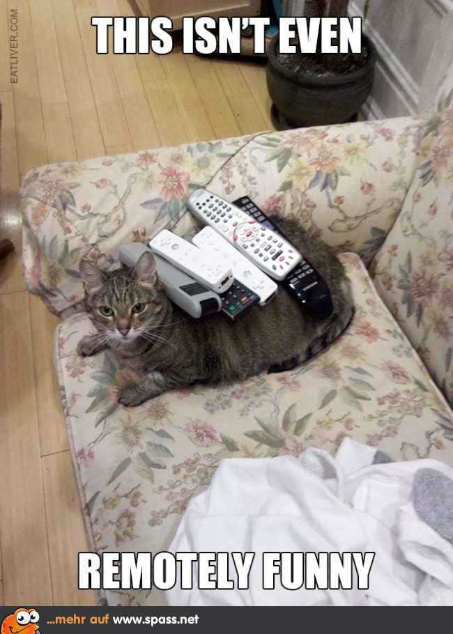 Fernbedienung auf Katze