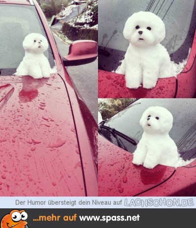 kleiner Hund aus Schnee