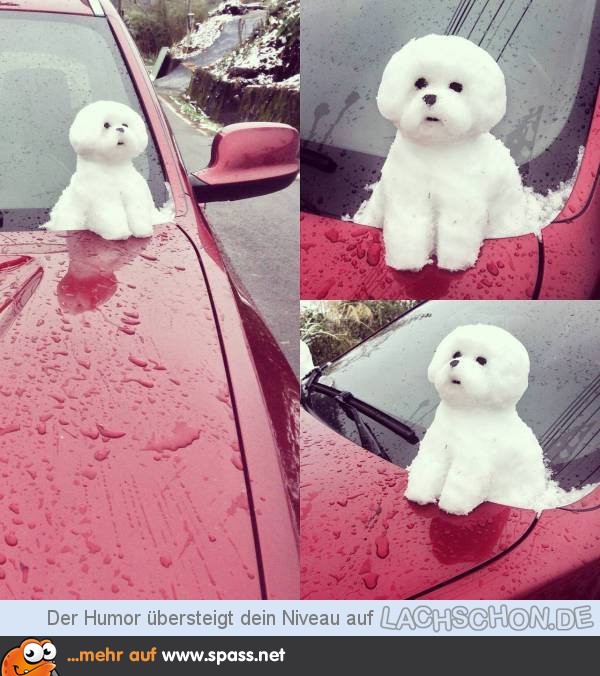 kleiner Hund aus Schnee