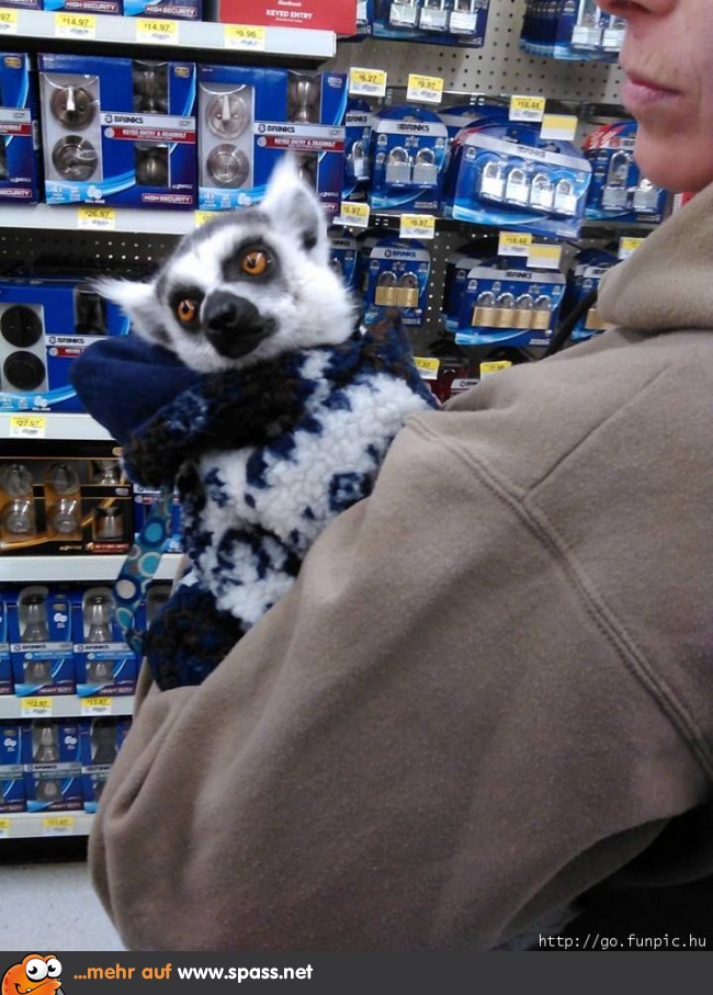 Lemur