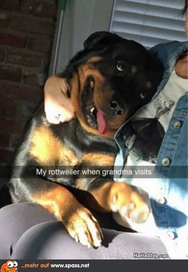 Rottweiler Oma