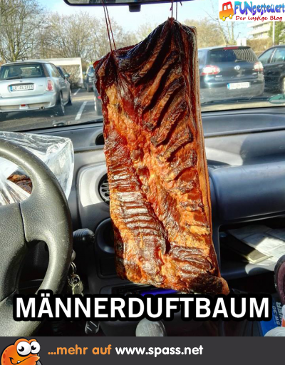 Duft im Auto