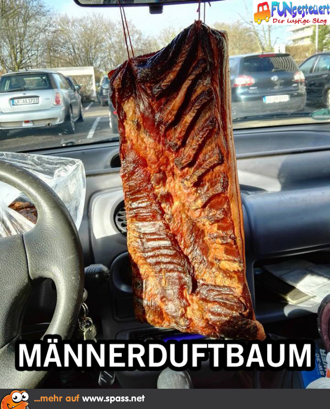 Duft im Auto