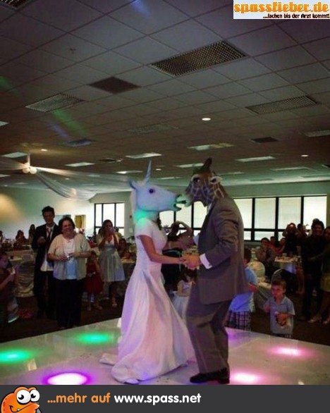 Hochzeitstanz Lustige Bilder auf