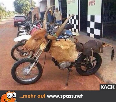 Kuh Bike