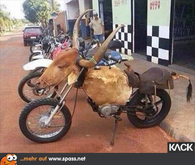 Kuh Bike