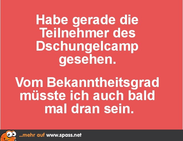 Dschungelcamp Lustige Bilder auf