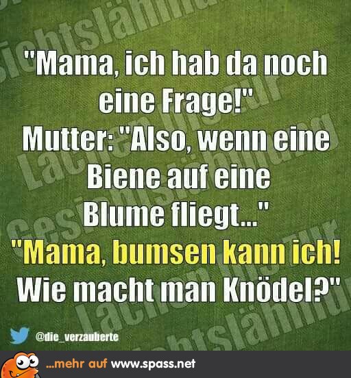 Knödel Lustige Bilder auf