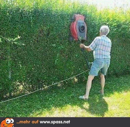 Hecke Lustige Bilder auf