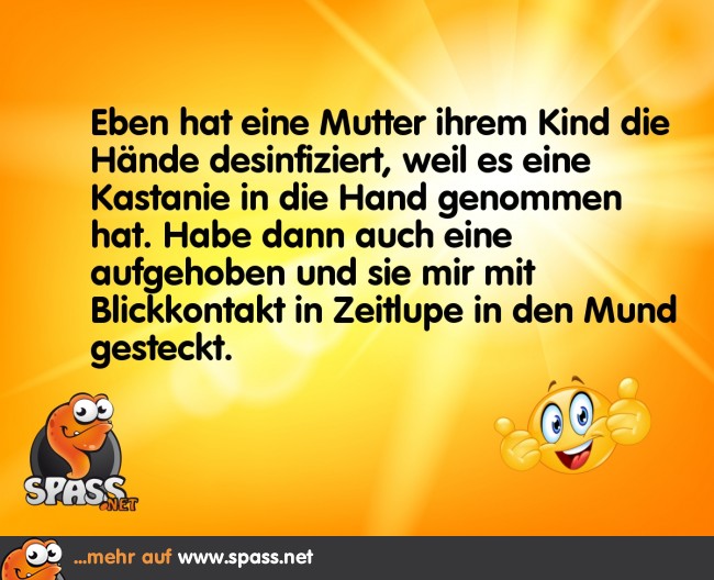 Kastanie Lustige Bilder auf