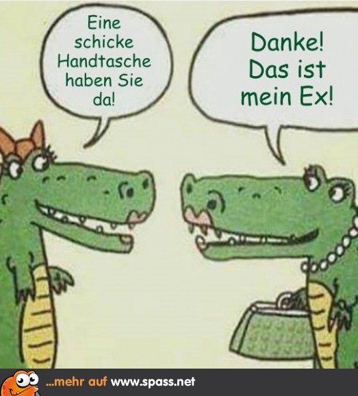 Schicke Handtasche Lustige Bilder auf