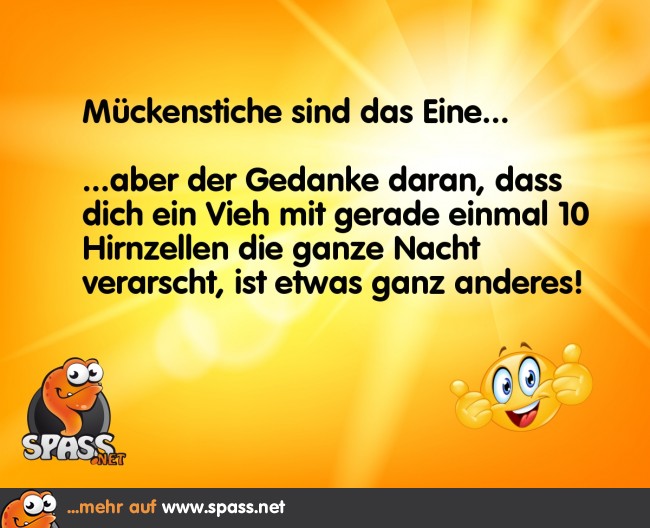 Fiese Mücken Lustige Bilder auf
