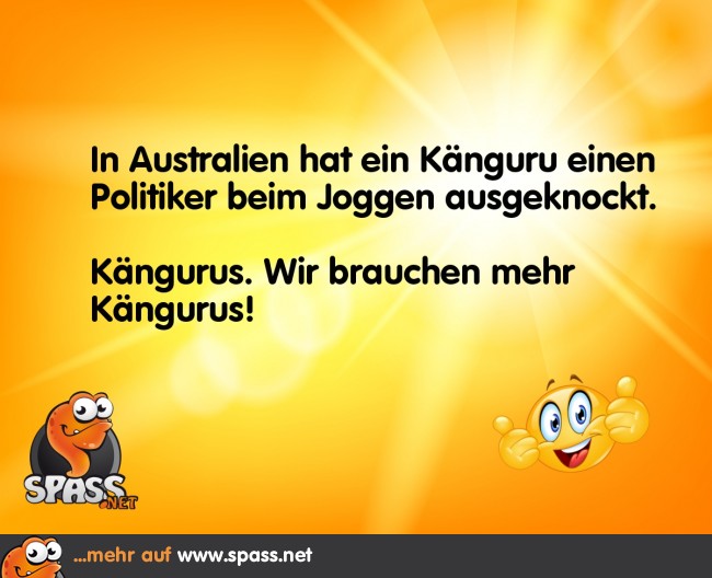 Känguru Lustige Bilder auf