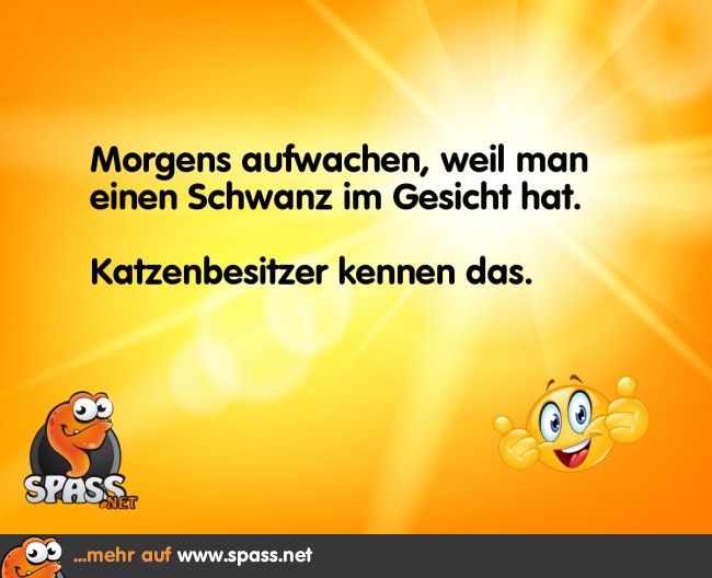 Wach dank Schwanz Lustige Bilder auf