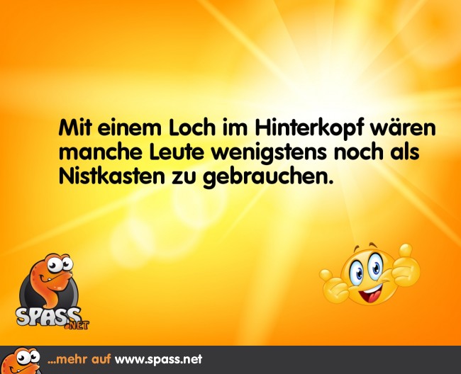 Nistkasten Lustige Bilder auf