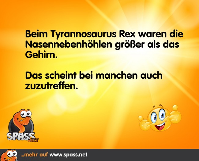 Erbsenhirn Lustige Bilder auf