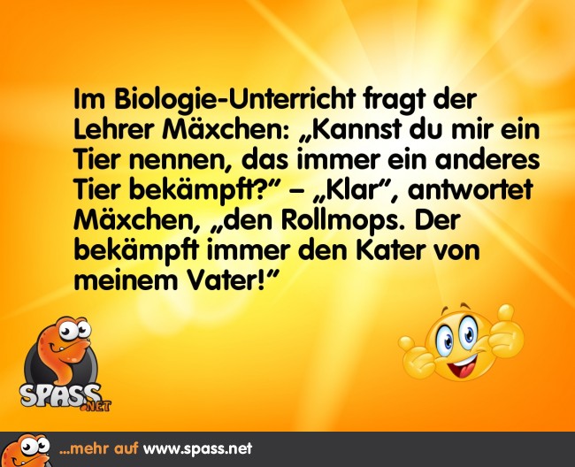 Kämpfende Tiere Lustige Bilder auf