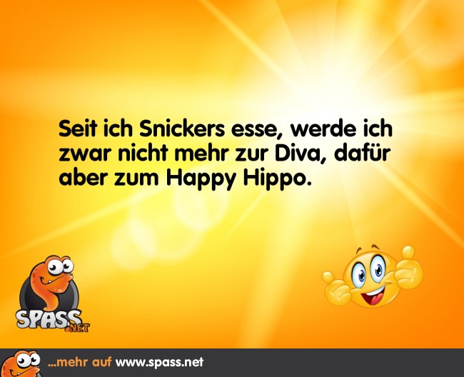 Von der Diva zum Hippo Lustige Bilder auf
