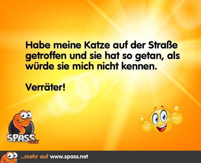 Verräter Lustige Bilder auf