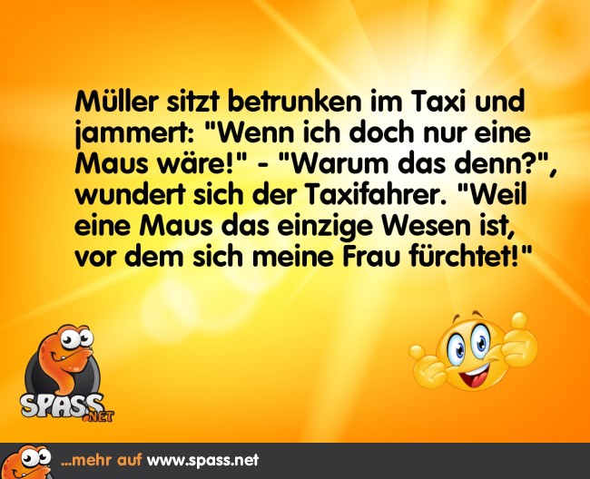 Ich Habe Eine Maus Gesehen Die Wollt... Was This Real?! You Decide. - z5shz91