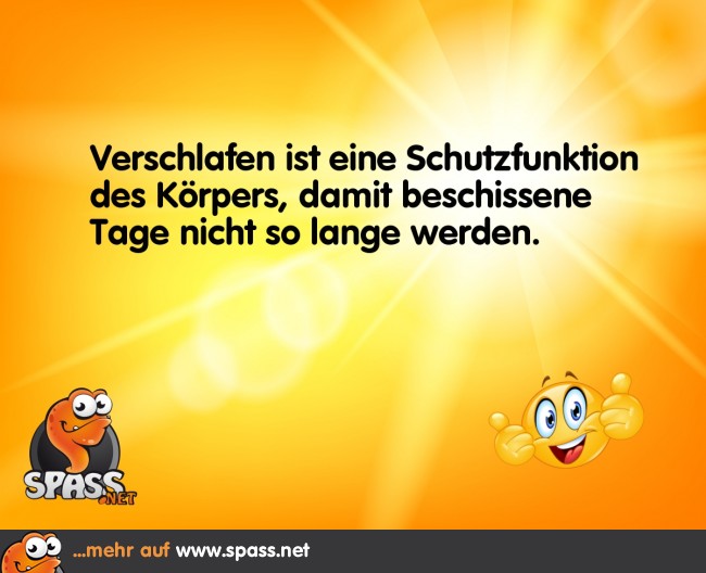 Verschlafen Lustige Bilder auf