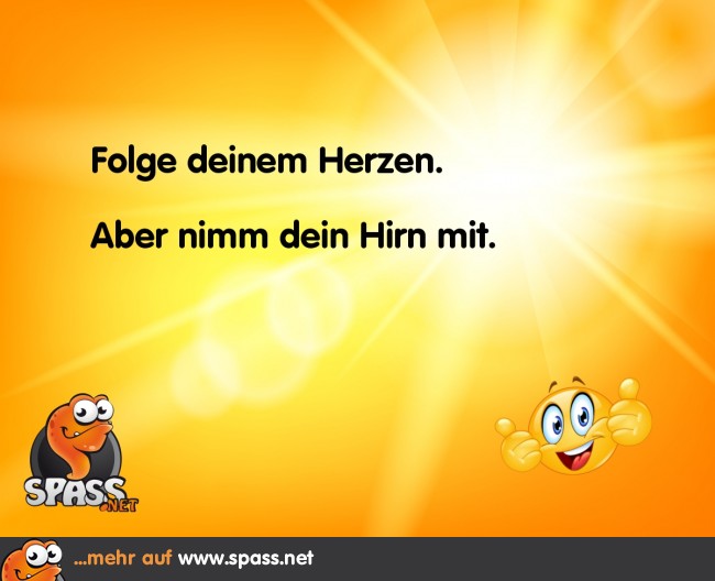 Immer mit Hirn Lustige Bilder auf